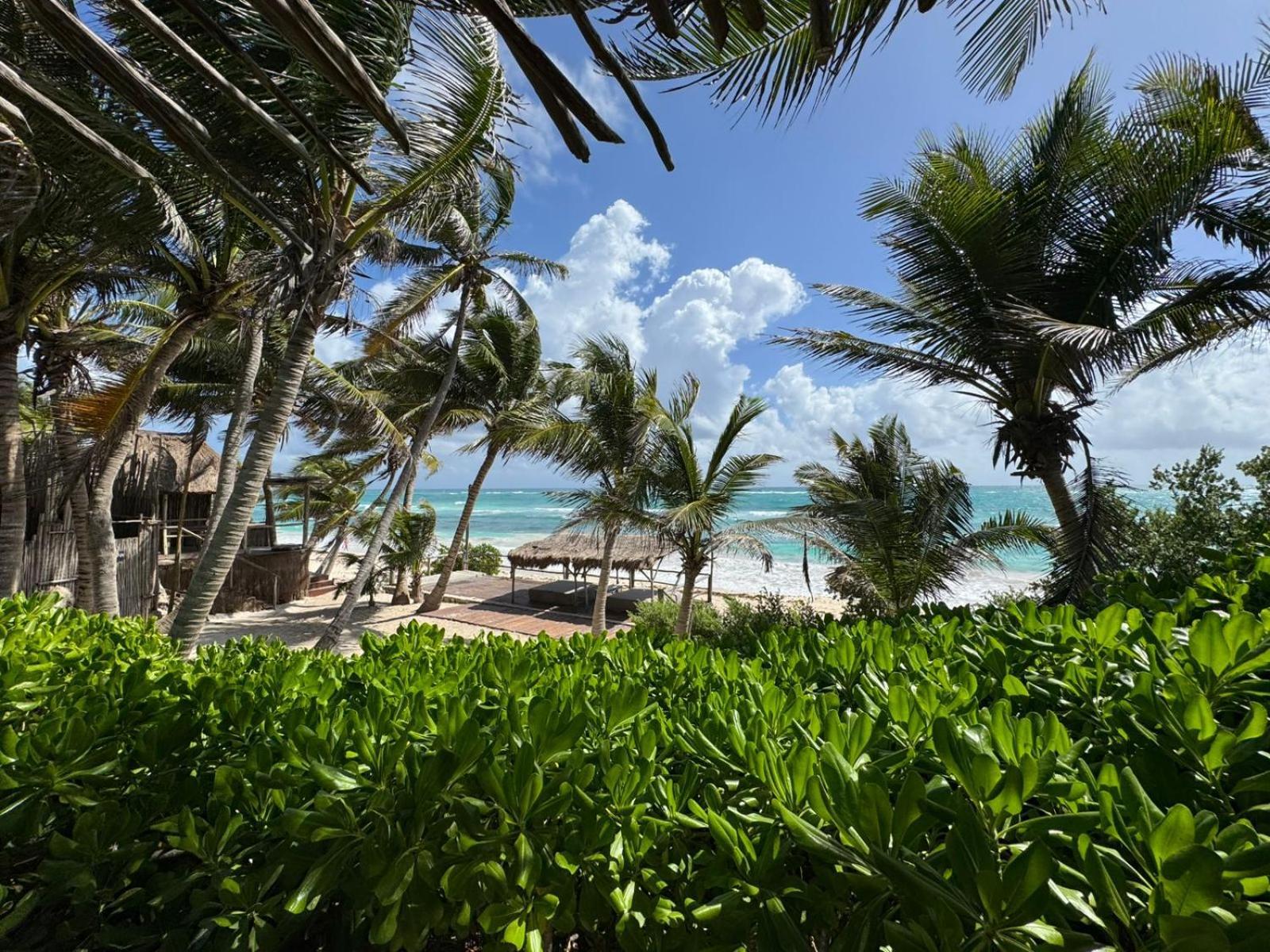 Art Village Tulum Ngoại thất bức ảnh